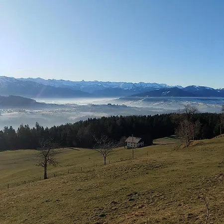 Feurle Sulzberg (Bregenz)