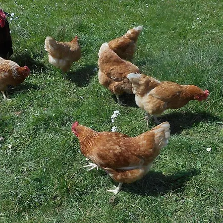 アパート Feurle *