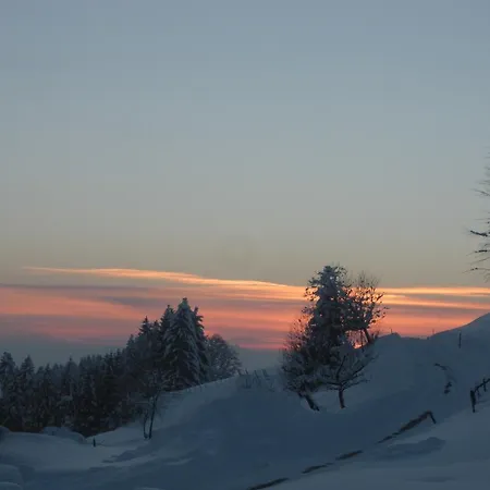 Feurle * ズルツベルク