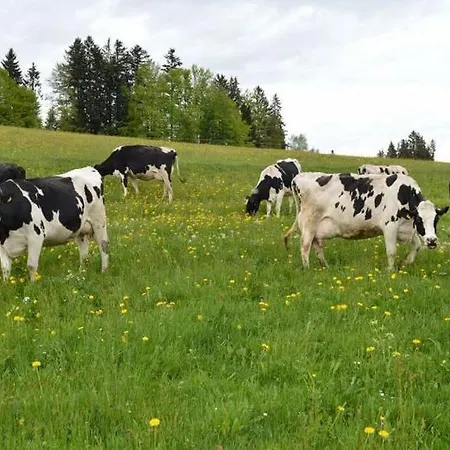 Feurle アパート ズルツベルク