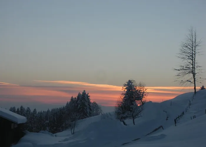 Feurle * Sulzberg (Bregenz)